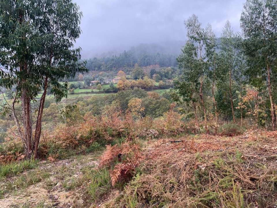 Terreno para Venda em Abadim Foto 10