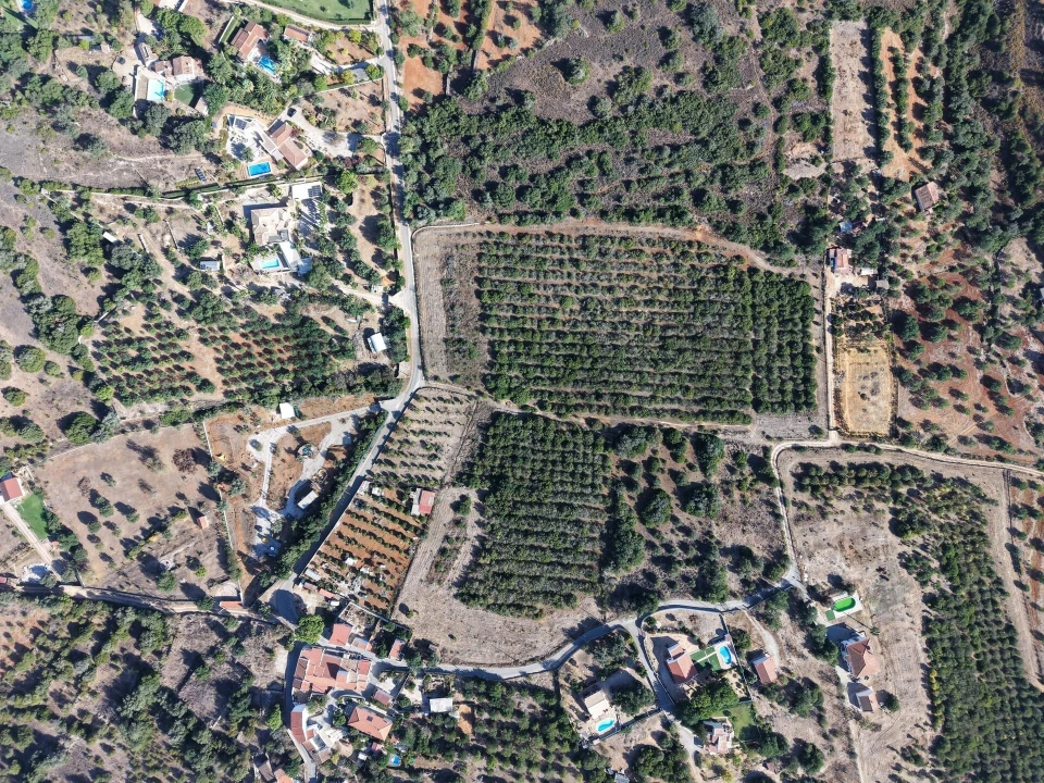 Terreno para Venda em Alcantarilha e Pêra Foto 11
