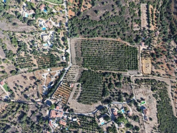 Terreno para Venda em Alcantarilha e Pêra