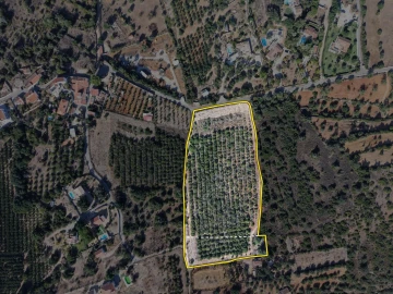 Terreno para Venda em Alcantarilha e Pêra