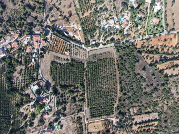 Terreno para Venda em Alcantarilha e Pêra