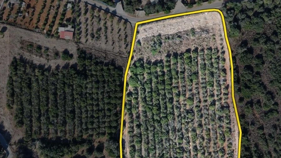 Terreno para Venda em Alcantarilha e Pêra