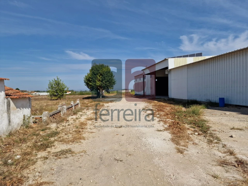 Armazém para Venda em Alpiarça Foto 7