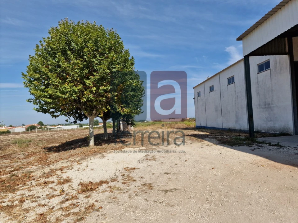 Armazém para Venda em Alpiarça Foto 6