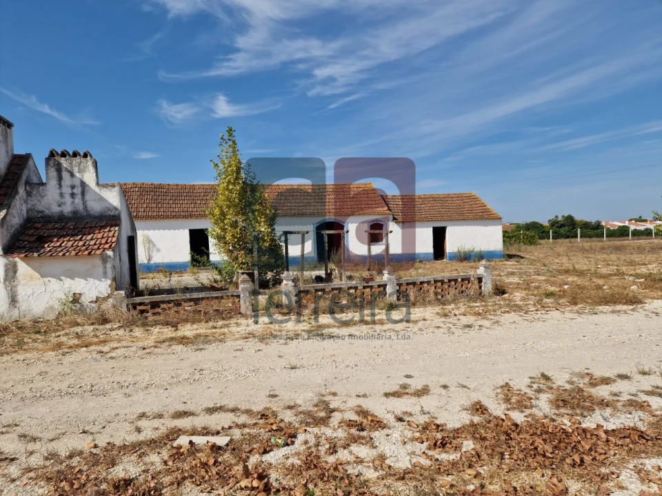 Armazém para Venda em Alpiarça Foto 15