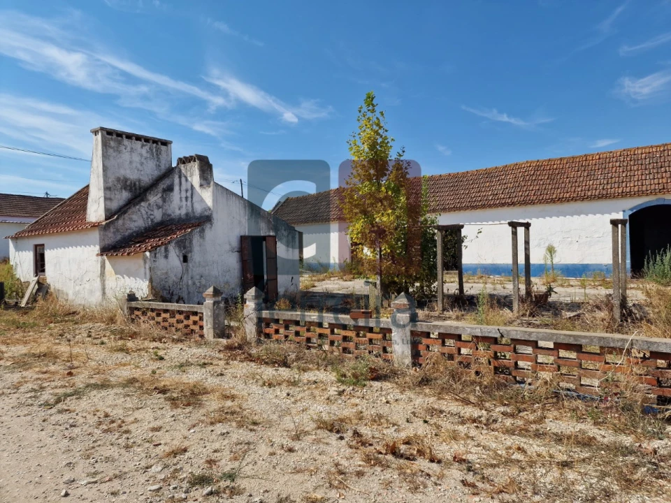 Armazém para Venda em Alpiarça Foto 16