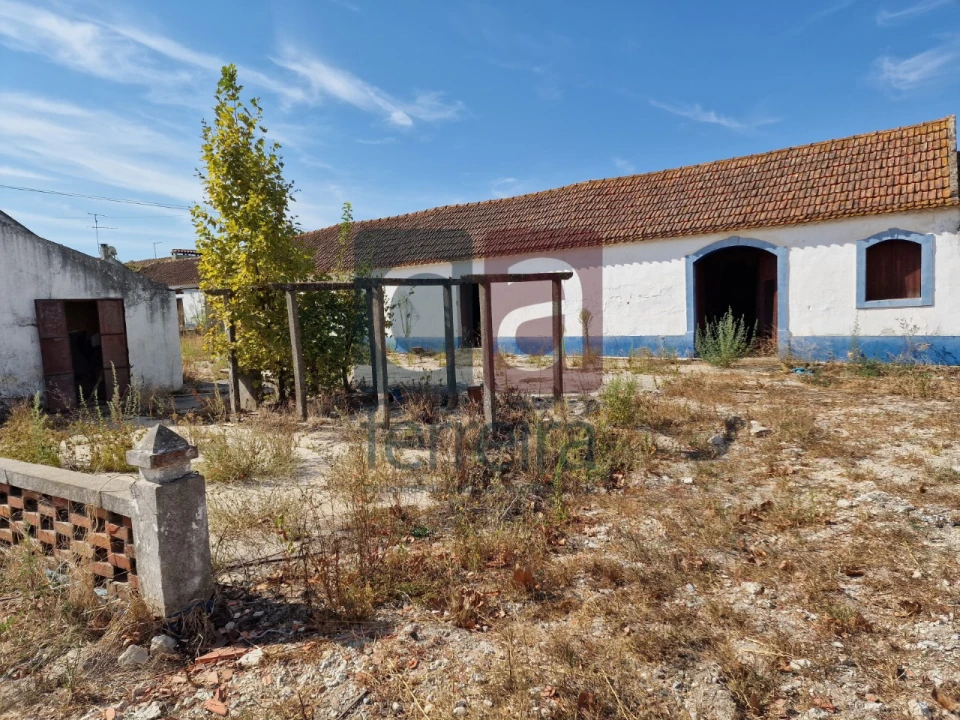 Armazém para Venda em Alpiarça Foto 18