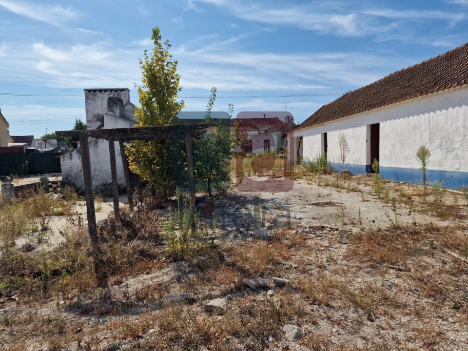 Armazém para Venda em Alpiarça Foto 19
