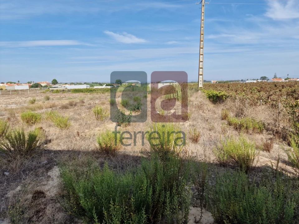 Armazém para Venda em Alpiarça Foto 26