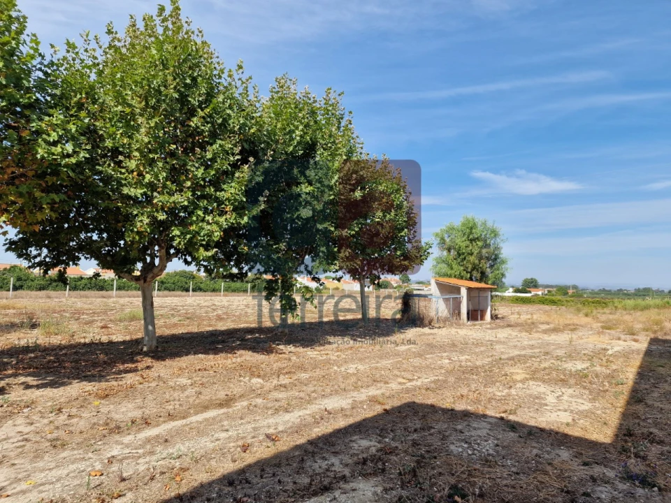 Armazém para Venda em Alpiarça Foto 30