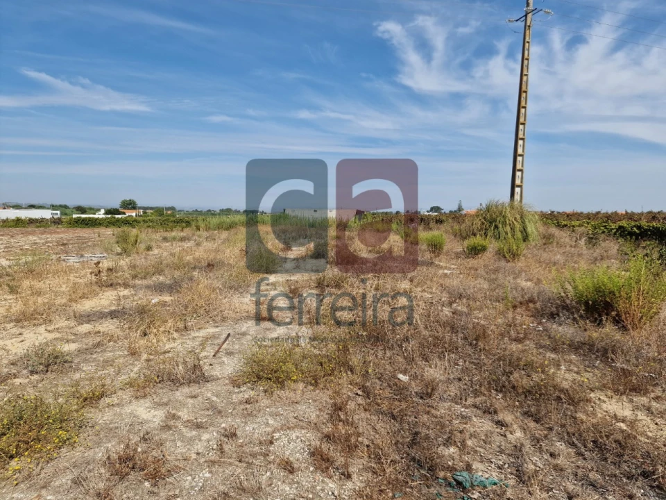Armazém para Venda em Alpiarça Foto 33