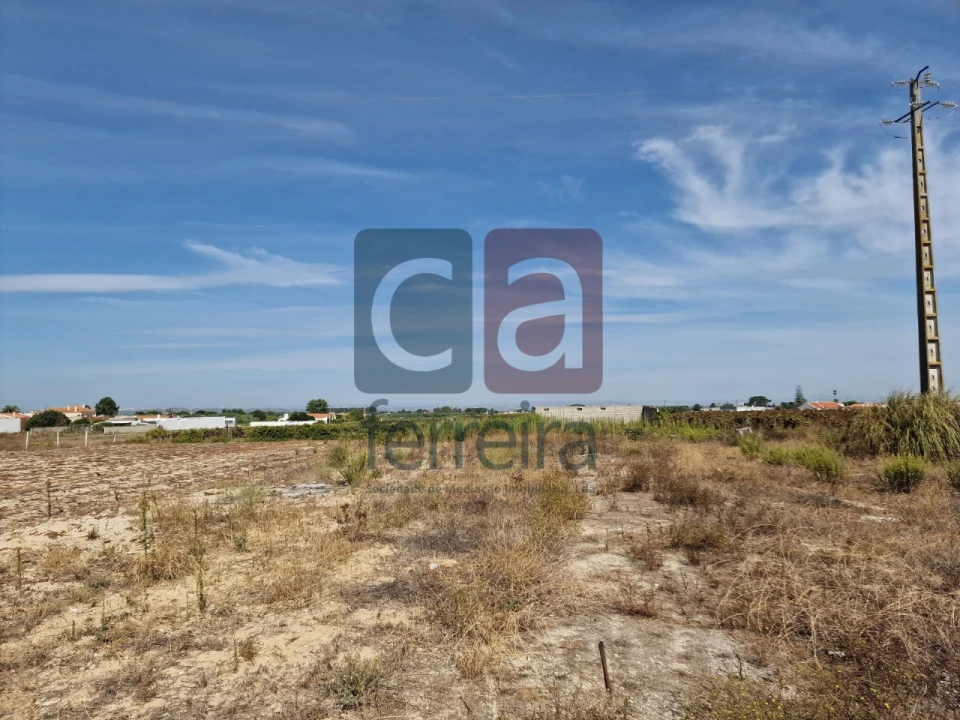 Armazém para Venda em Alpiarça Foto 38