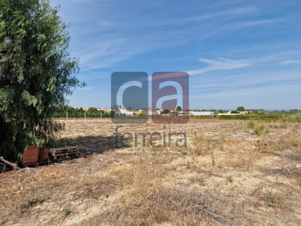 Armazém para Venda em Alpiarça Foto 39