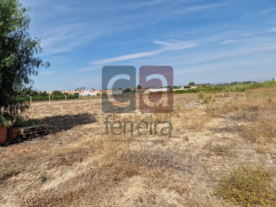 Armazém para Venda em Alpiarça Foto 40
