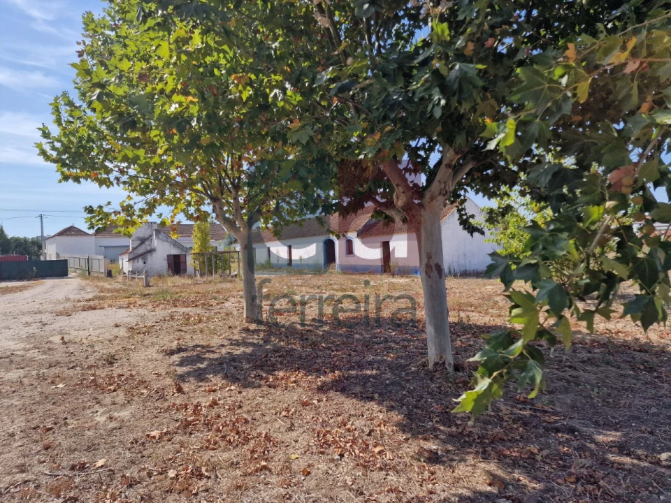 Armazém para Venda em Alpiarça Foto 42