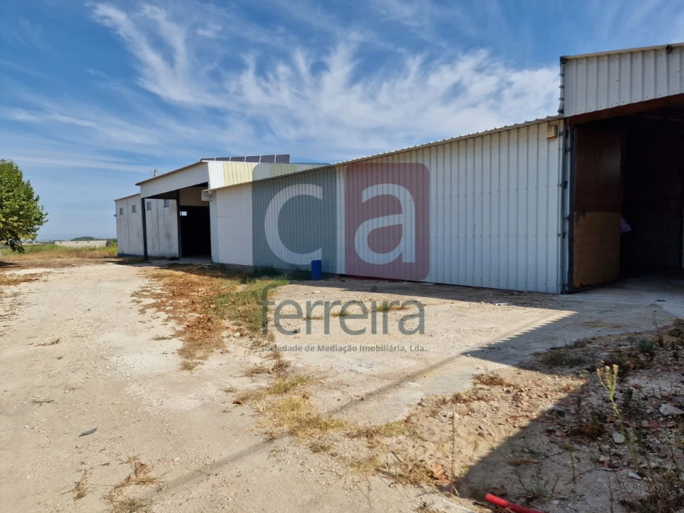 Armazém para Venda em Alpiarça Foto 46
