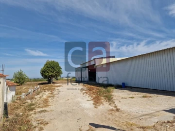 Armazém para Venda em Alpiarça