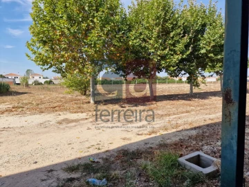 Armazém para Venda em Alpiarça