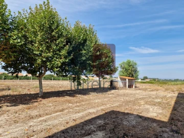 Armazém para Venda em Alpiarça