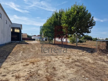 Armazém para Venda em Alpiarça