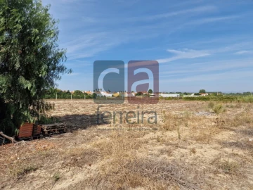 Armazém para Venda em Alpiarça
