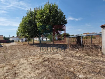 Armazém para Venda em Alpiarça