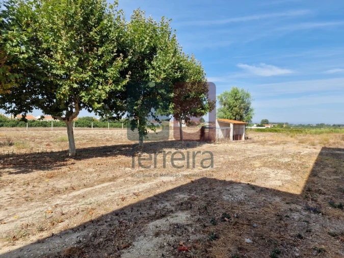 Armazém para Venda em Alpiarça Foto 29