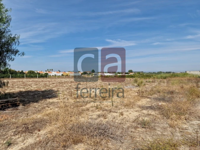 Armazém para Venda em Alpiarça Foto 37