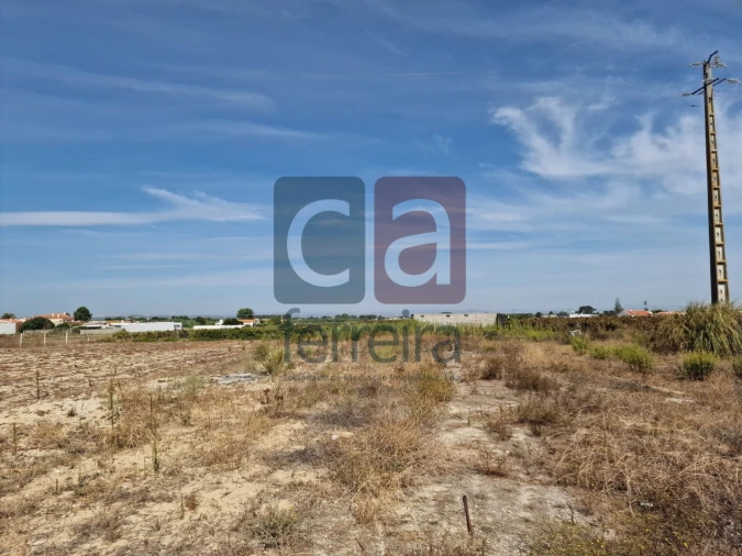 Armazém para Venda em Alpiarça Foto 38