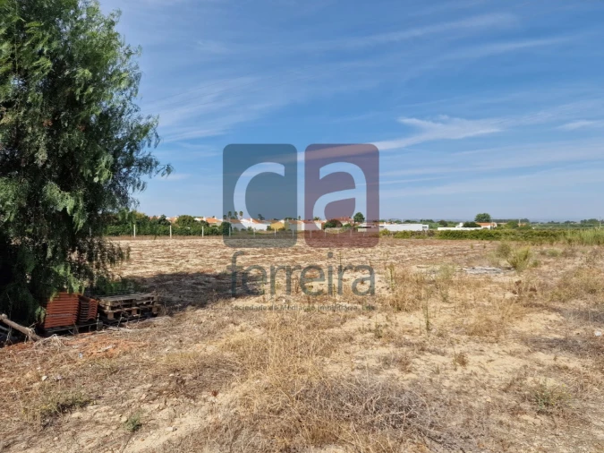 Armazém para Venda em Alpiarça Foto 39