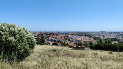 Terreno para Venda em Santa Maria e São Miguel, São Martinho, São Pedro Penaferrim
