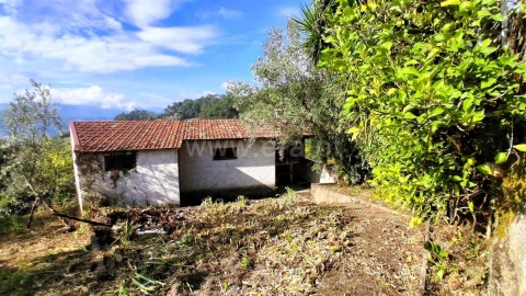 Moradia T3 para Venda em Santa Cruz do Douro e São Tomé de Covelas
