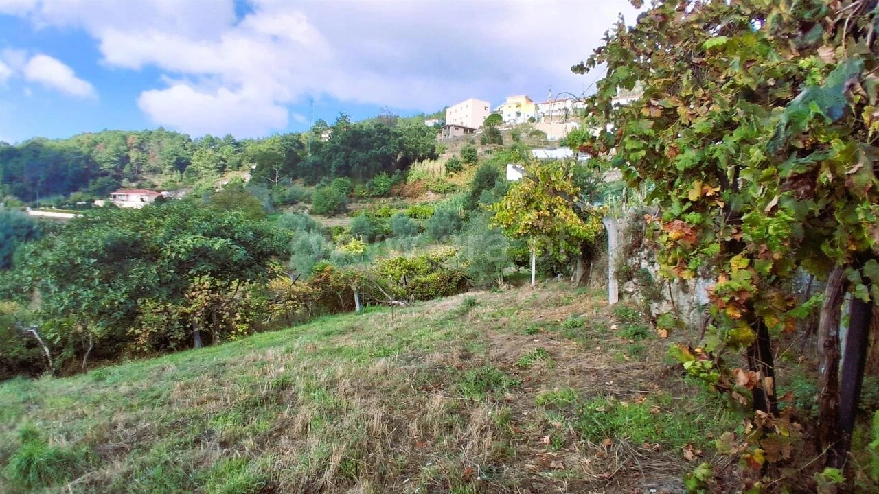 Moradia T3 para Venda em Santa Cruz do Douro e São Tomé de Covelas Foto 16