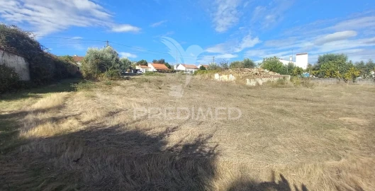 Terreno para Venda em Alvega e Concavada