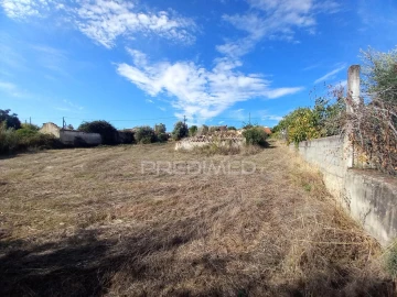 Terreno para Venda em Alvega e Concavada