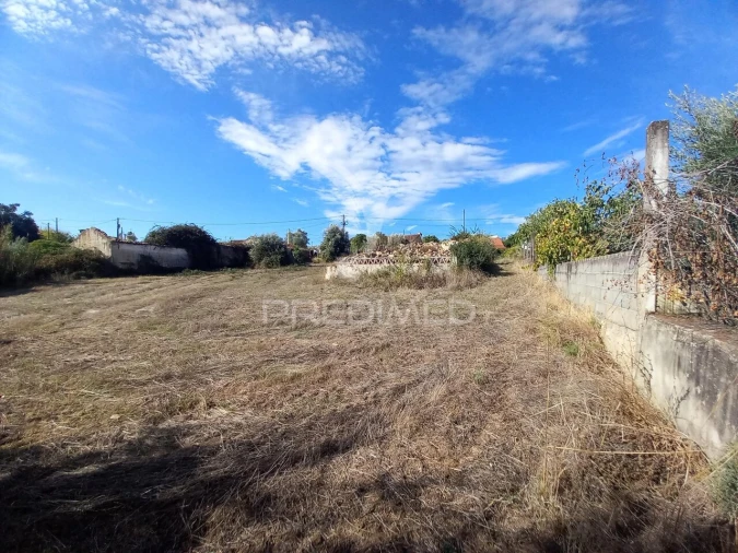 Terreno para Venda em Alvega e Concavada Foto 7