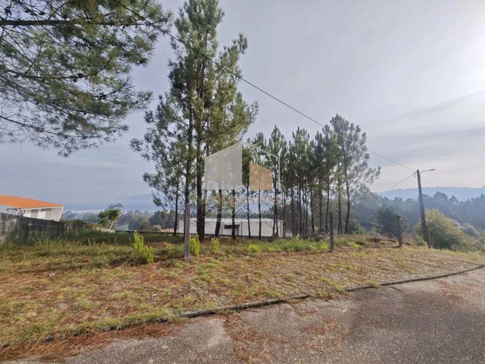 Terreno para Venda em Reboreda e Nogueira Foto 5