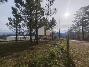 Terreno para Venda em Reboreda e Nogueira