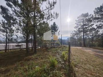 Terreno para Venda em Reboreda e Nogueira