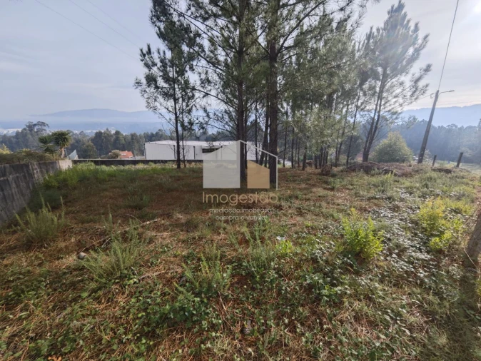Terreno para Venda em Reboreda e Nogueira Foto 4