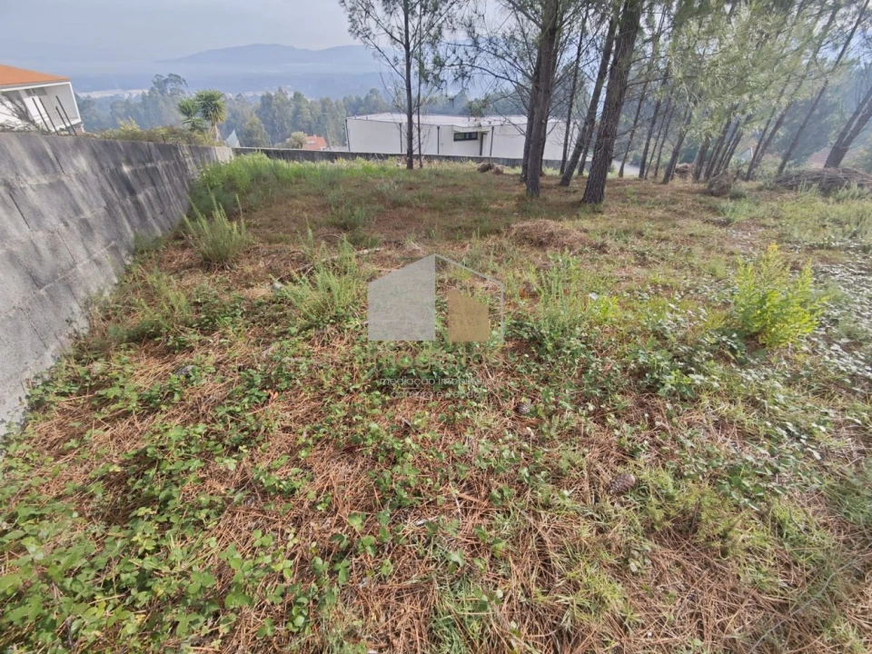 Terreno para Venda em Reboreda e Nogueira Foto 7