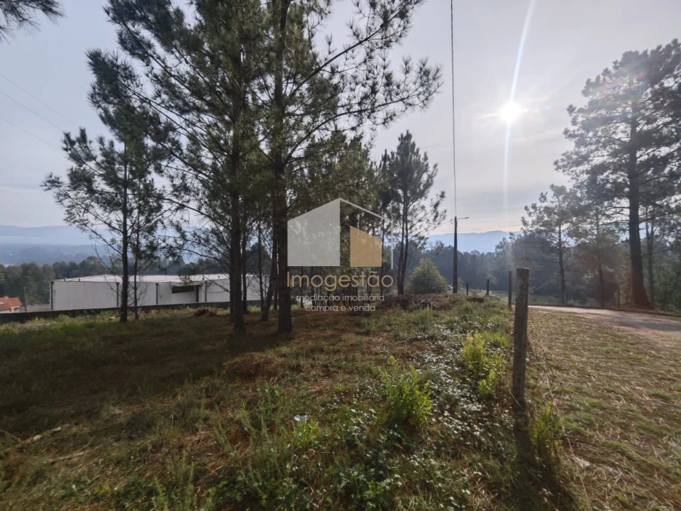 Terreno para Venda em Reboreda e Nogueira Foto 10