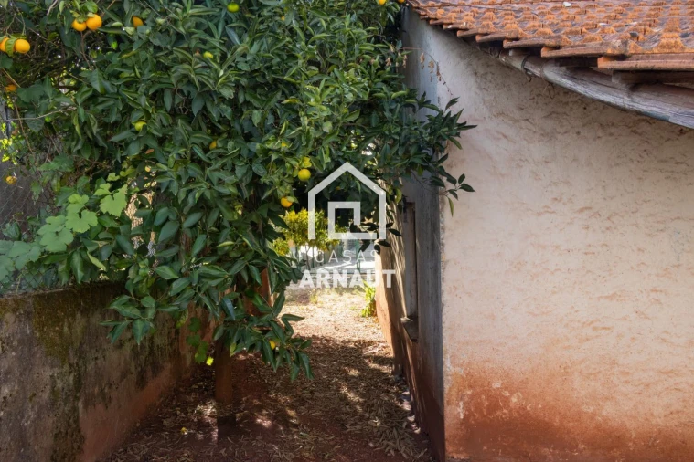 Moradia T2 para Venda em Avelar Foto 5