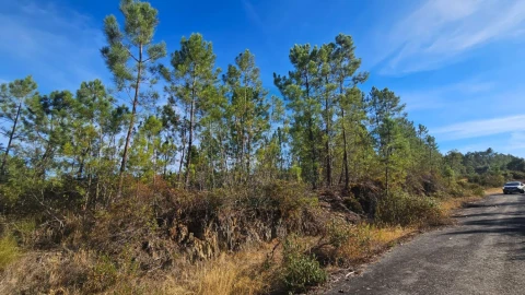 Terreno para Venda em Cebolais de Cima e Retaxo