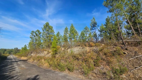 Terreno para Venda em Cebolais de Cima e Retaxo