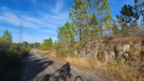 Terreno para Venda em Cebolais de Cima e Retaxo