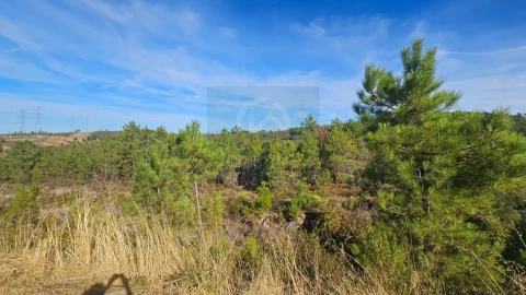 Terreno para Venda em Cebolais de Cima e Retaxo