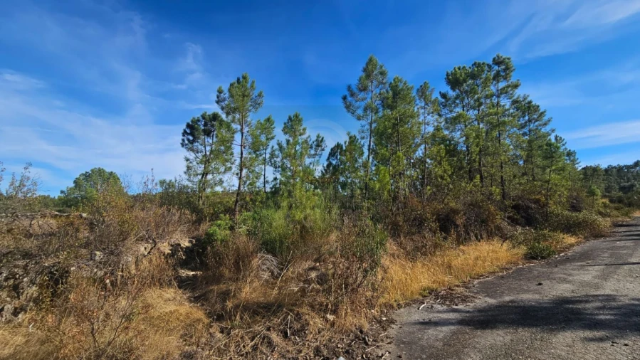 Terreno para Venda em Cebolais de Cima e Retaxo Foto 2