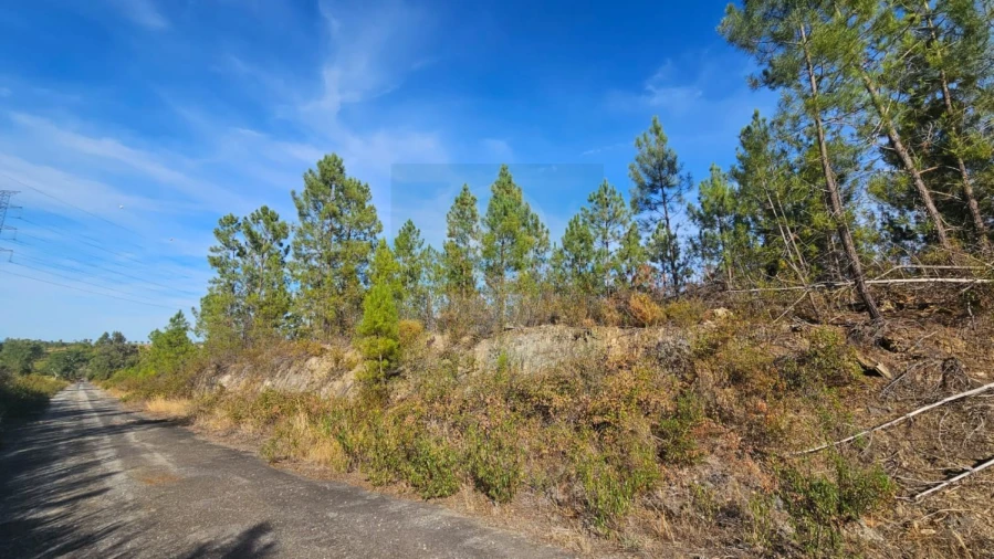 Terreno para Venda em Cebolais de Cima e Retaxo Foto 5