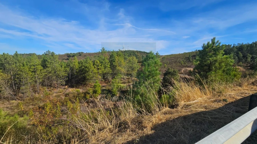 Terreno para Venda em Cebolais de Cima e Retaxo Foto 7